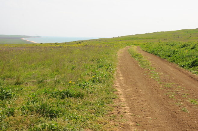    Крым / "Югополис"