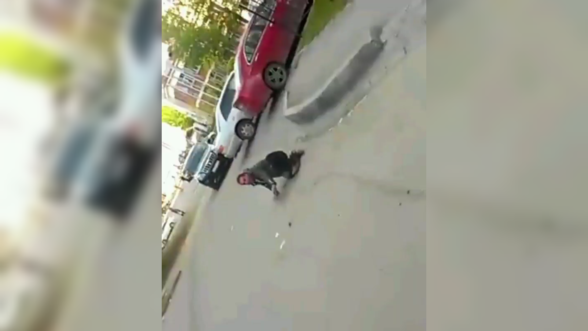 Автор: В. Панченко