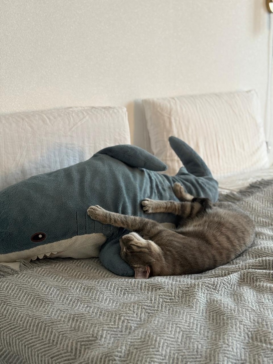 Ваниль (Сириус)