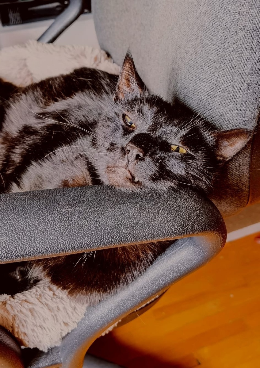 Луис и Мисти