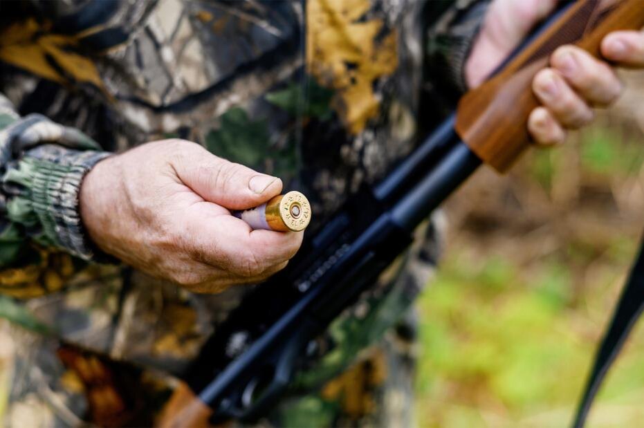    Shutterstock/FOTODOM