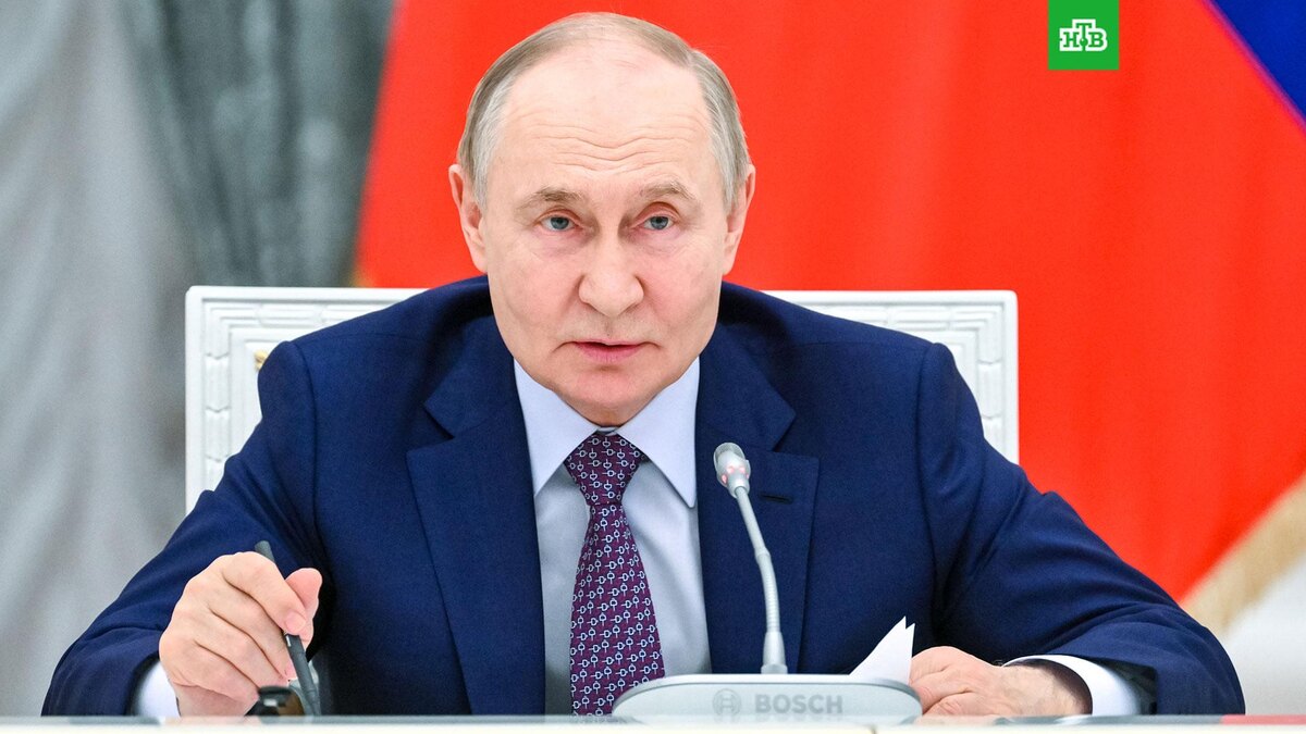    Фото: РИА Новости © 2025, Кристина Кормилицына