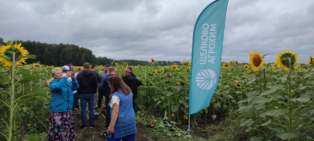Работу по продвижению отечественного посевного материала специалисты Тюменского представительства ведут на протяжении ряда лет. Часть программы – ежегодный семинар по подсолнечнику, который проходит в Курганской области