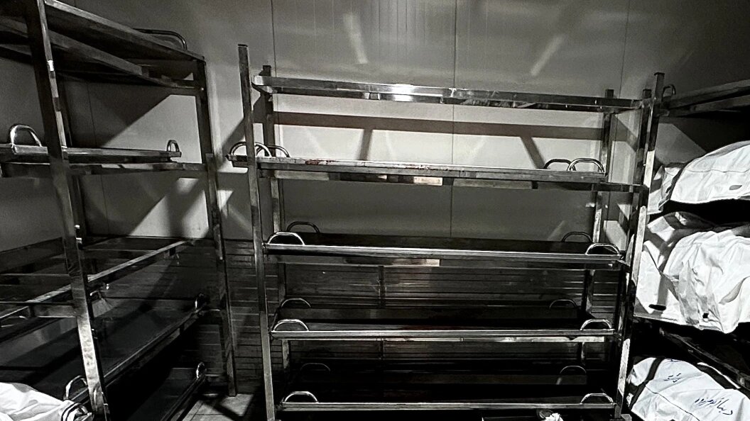    фото: Doaa El-Baz/Keystone Press Agency/Globallookpress