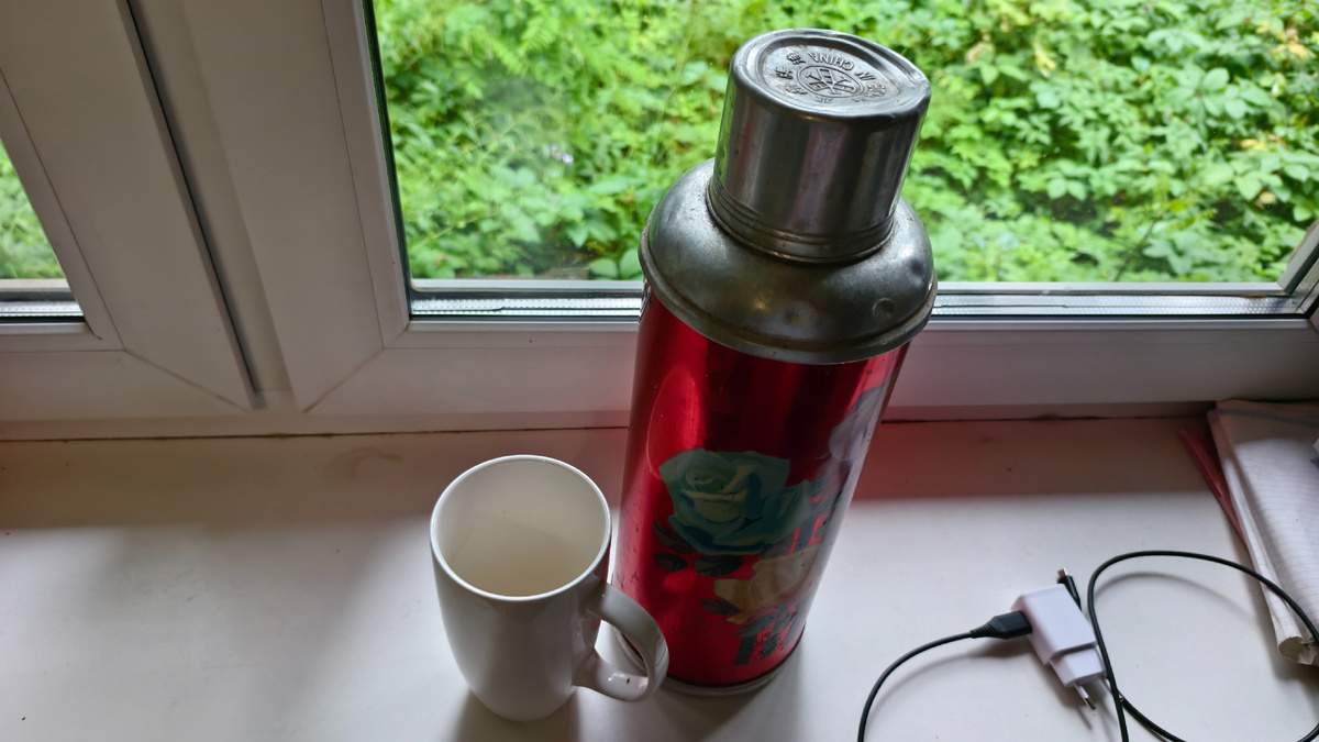 Сухие ягоды шиповника с рынка в термос, залить кипятком. Подождать 8-12 часов. Проще только заварить Доширак.