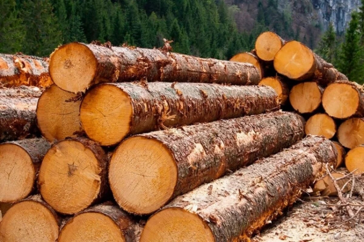    В Тюменской области наказали арендаторов леса за мусор и нарушения