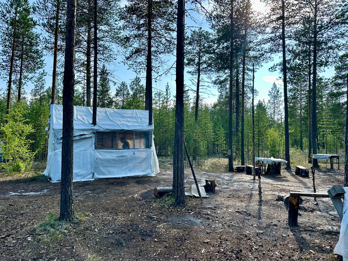 Палатка в лесу.