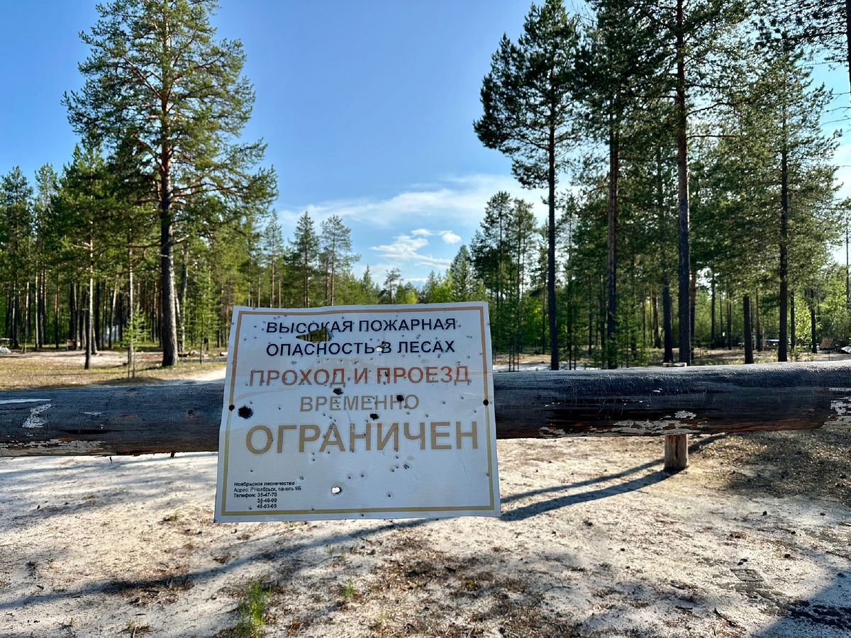 Вывеска перед входом в лес.