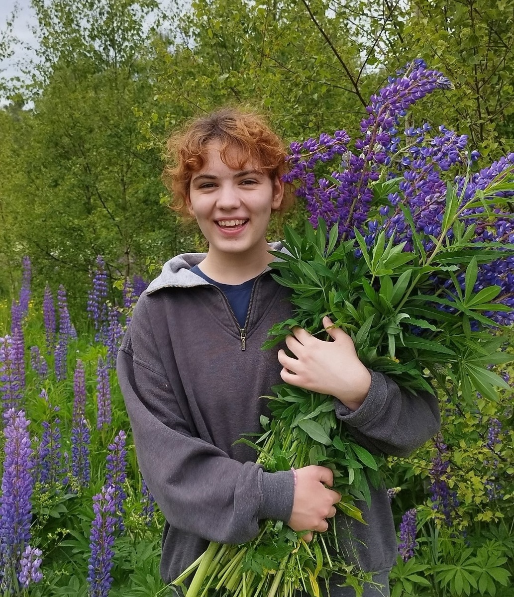 Когда цветут люпены в Кхечари - это всегда необычно красиво.