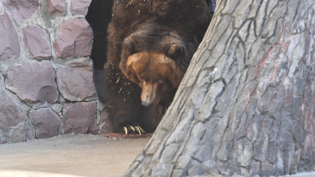    Фото: Komsomolskaya Pravda/Global Look Press
