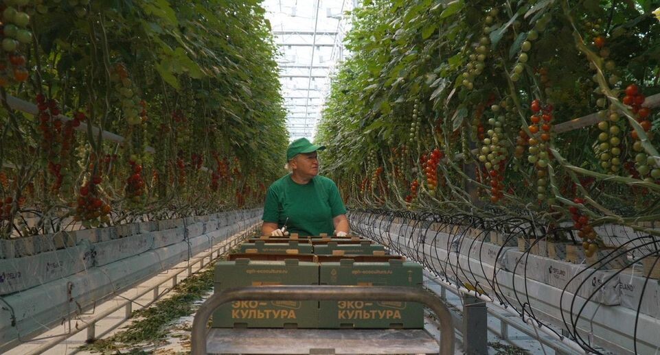    Министерство сельского хозяйства и продовольствия Московской области