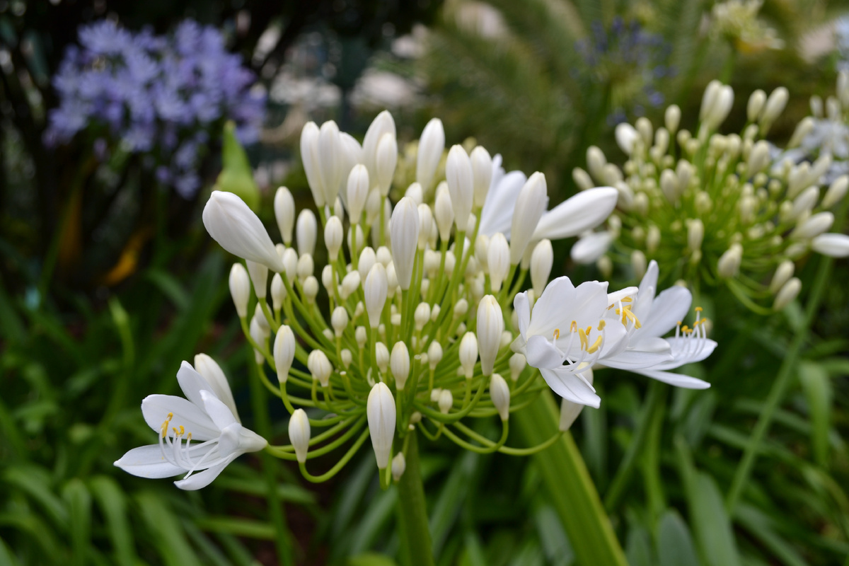 Все фото в статье: Москва, Охотный ряд, 23 июня 2025 года. Фото автора