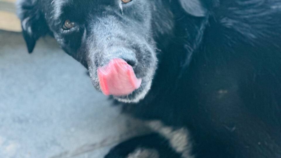 Не получается всех спасти...