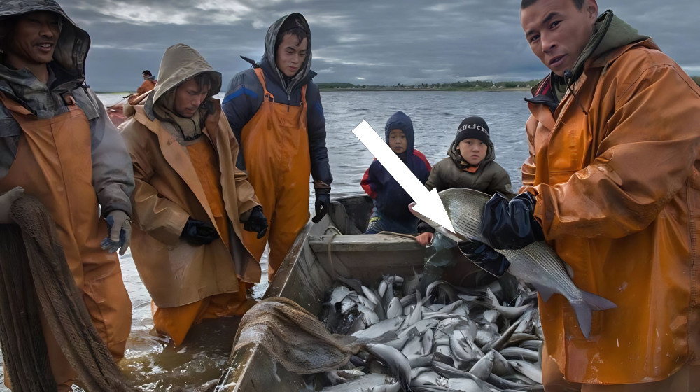    Как нанайские рыбаки выживают на Амуре и ловят рыбу лучше всех в России