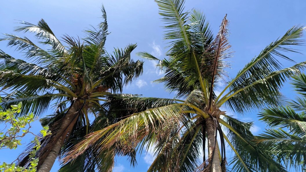    Maksim Konstantinov/Global Look Press/Globallookpress