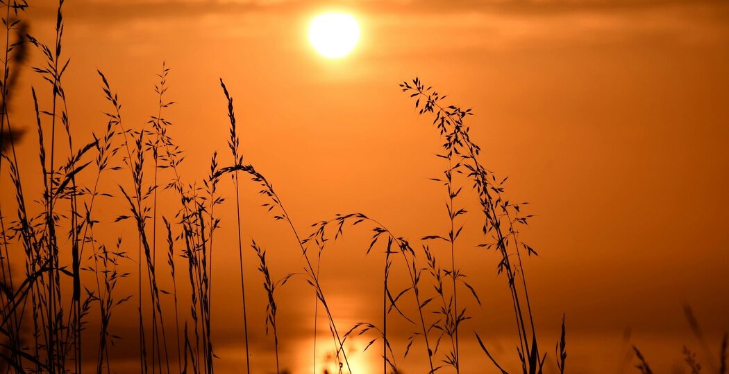 Любить — значит суметь вовремя отстраниться