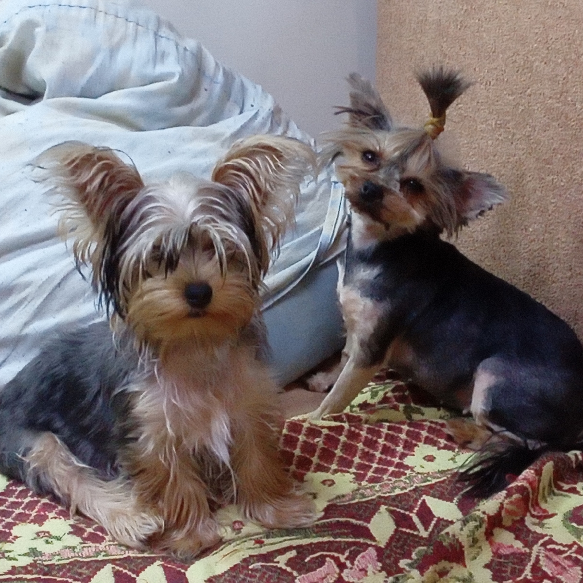 Боня и Нюша