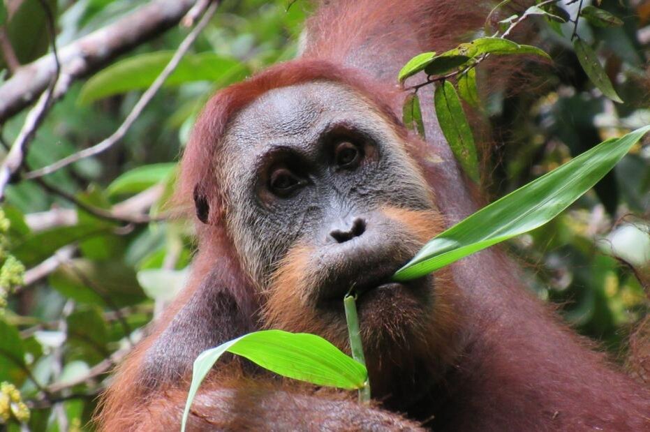    Cover Images/Keystone Press Agency/Global Look Press