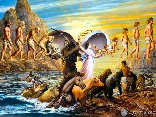 Фото из свободных источников.