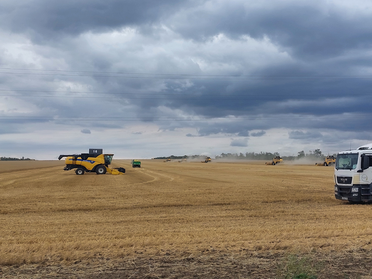 Уборка урожая