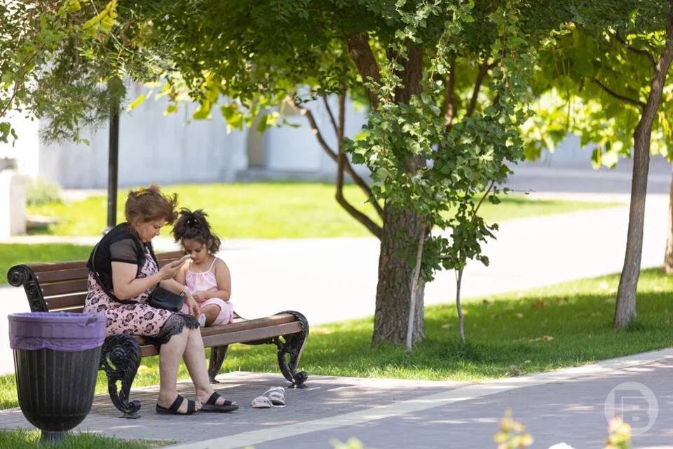    Фото: Данил Савченко / "Городские вести"