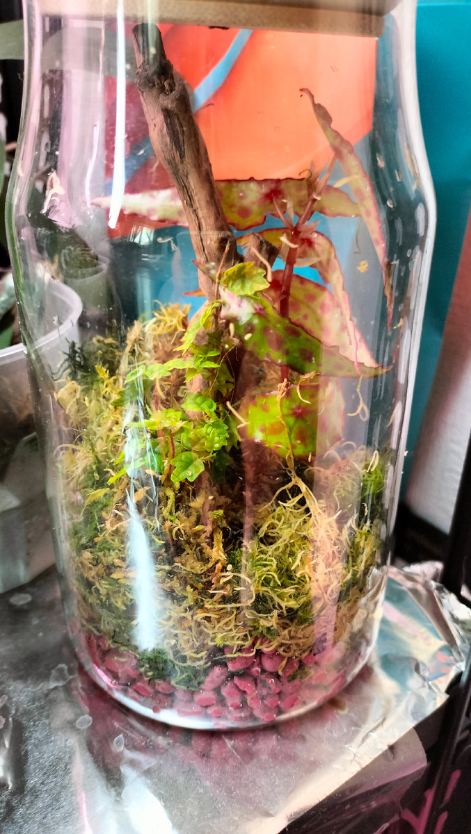 Приглашаю вас в 