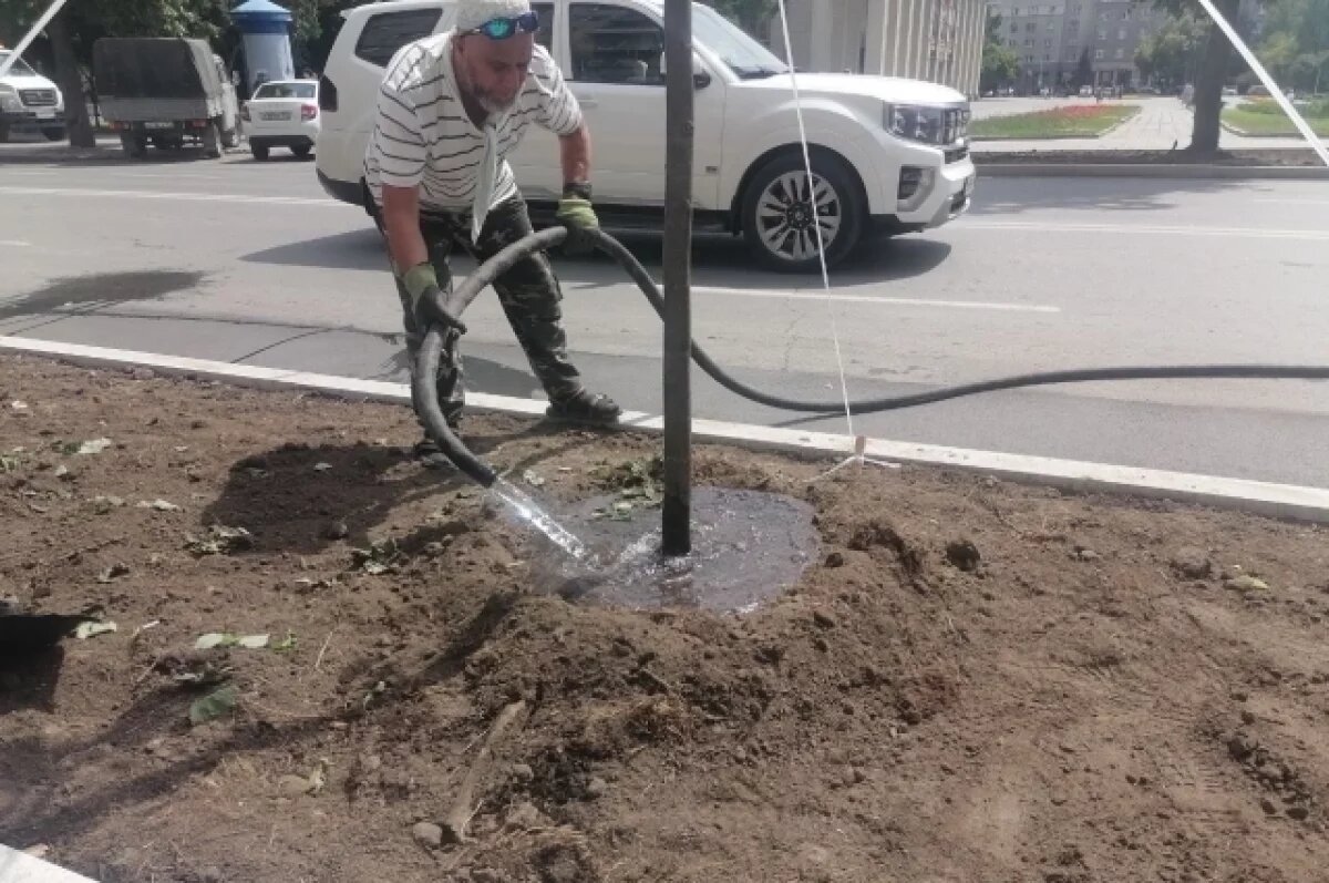    Завершают благоустройство липовой аллеи в Новосибирске