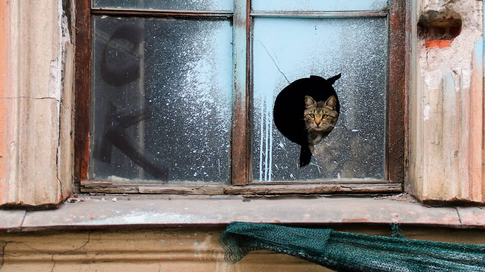 Фото: Евгений Зайцев / Коммерсантъ