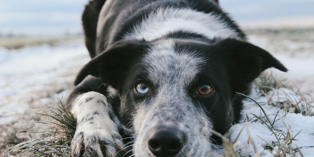 Потерял его навсегда