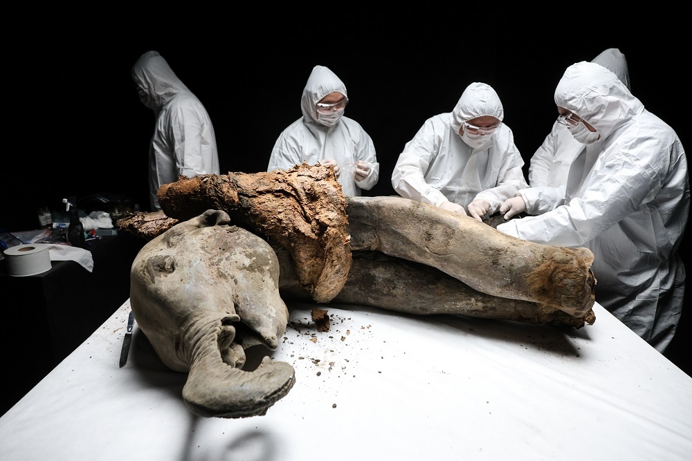 Фото: Вадим Скрябин/ТАСС