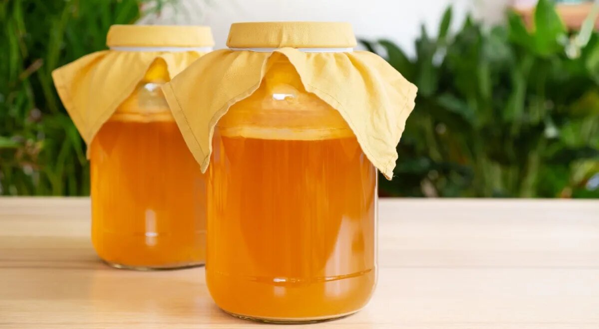   Домашняя комбуча (Shutterstock/FOTODOM)