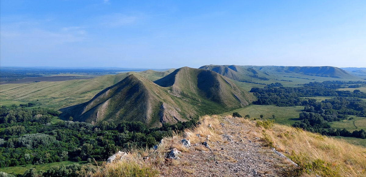 Андреевские шишки