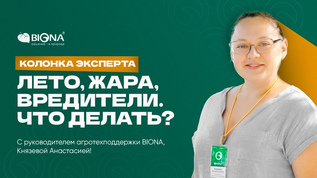 Создать карусельДобавьте описание