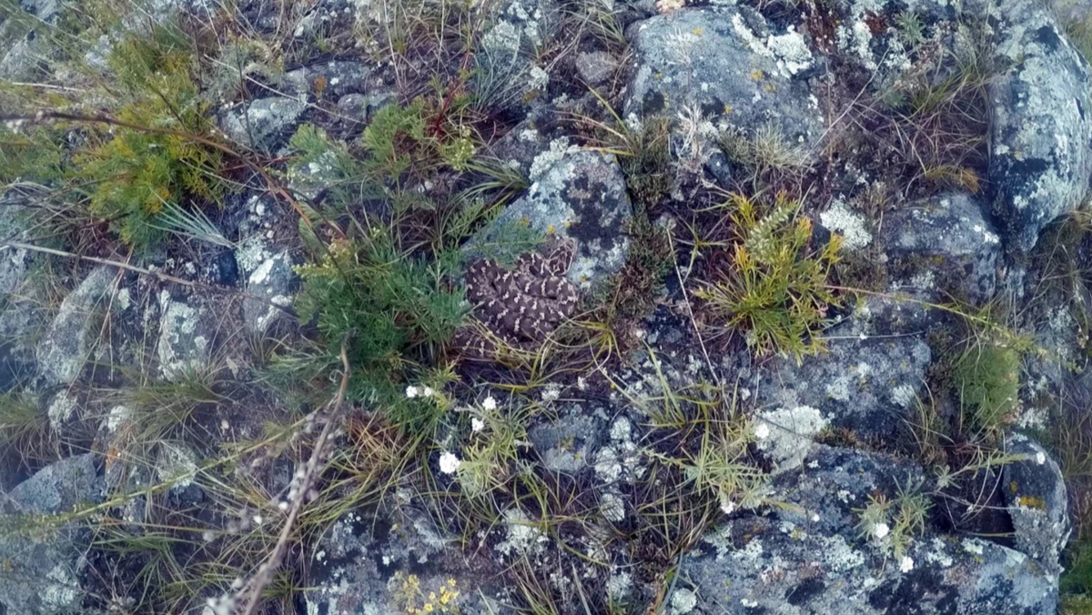 Это камни? Или не просто камни?