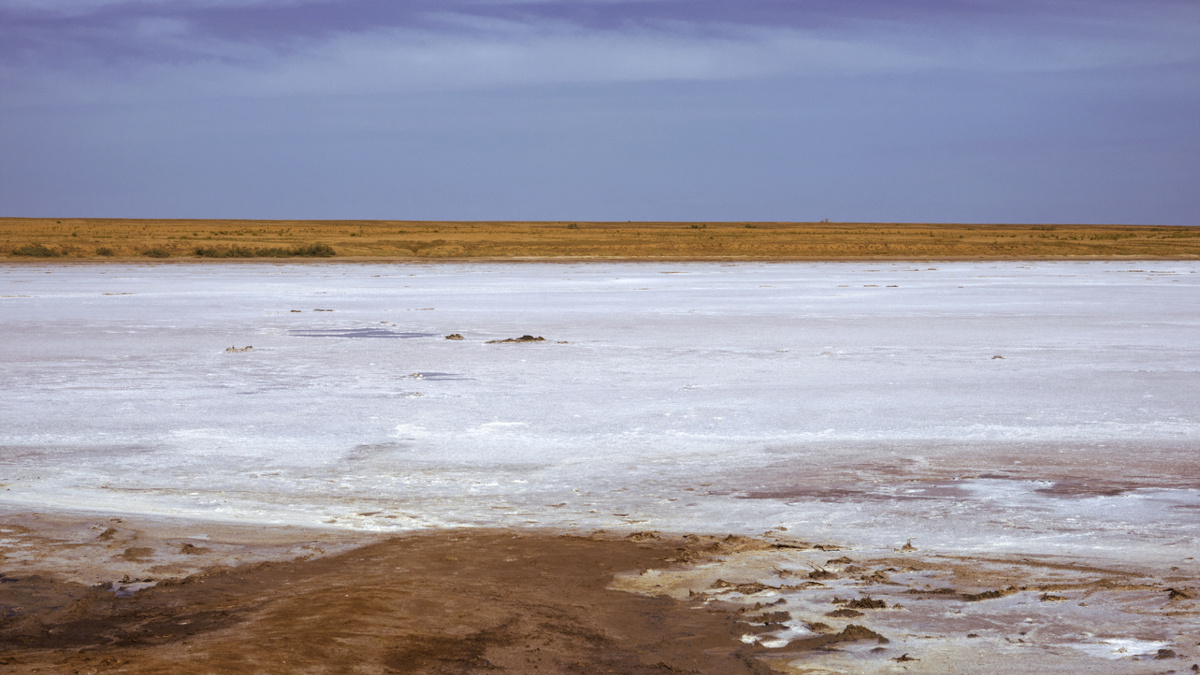 Соленое озеро в степи Калмыкии
