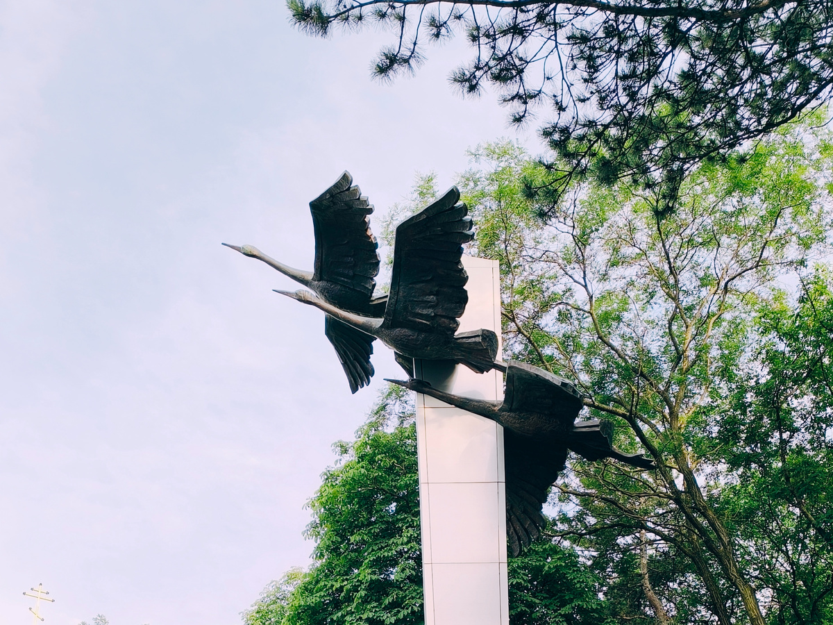 Все фото автора статьи.