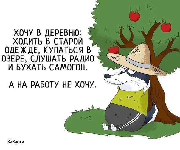 Из открытого источника. 