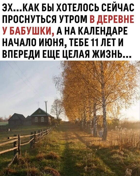 Из открытого источника. 