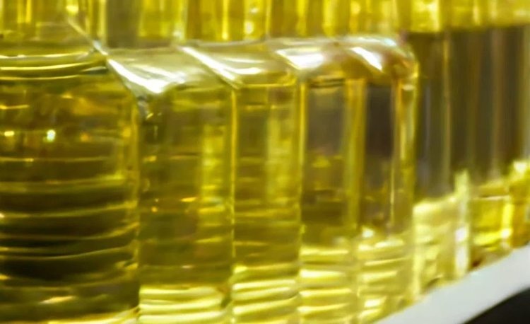    Фото: Лукьянов Дмитрий, AgroXXI.ru