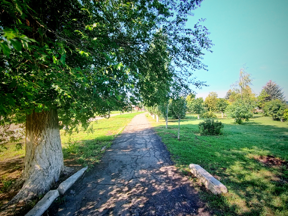 Фото автора.