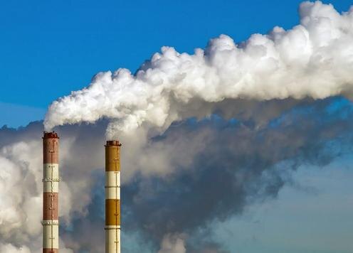 Фото с сайта norma.uz