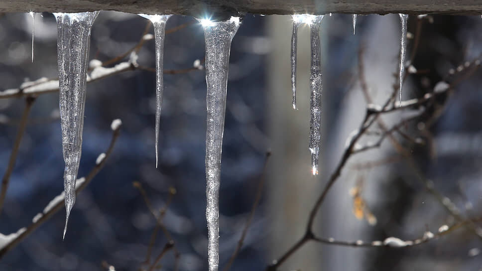 Фото: Юрий Стрелец / Коммерсантъ