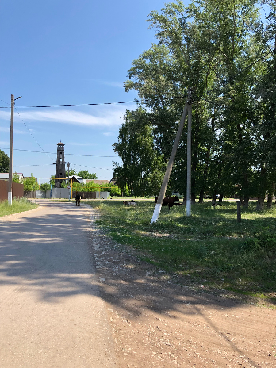 Пожарная каланча. Фото автора.