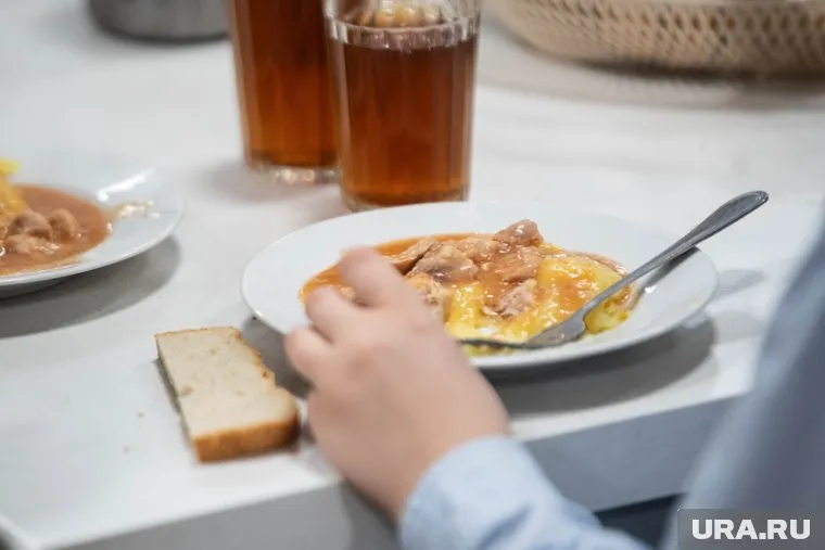 Власти ХМАО подняли вопрос перехода всех школьников на бесплатное питание
Фото: Илья Московец © URA.RU