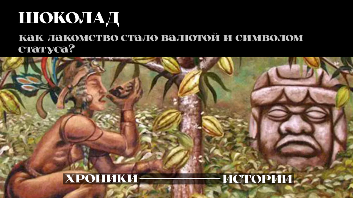 Какао-бобы и майа