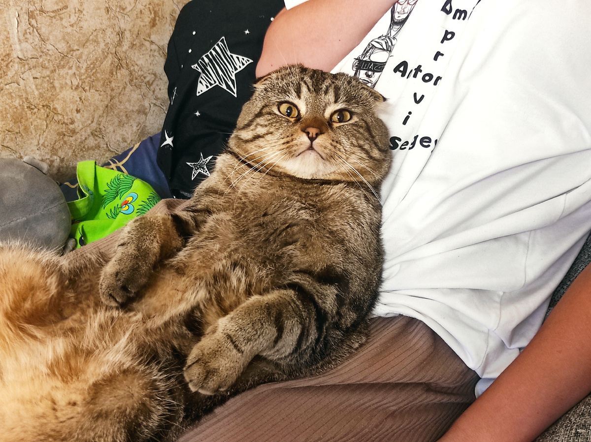 Что скажите?