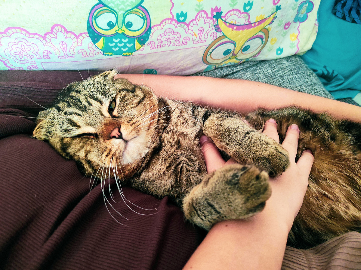 С вами я, с вами...