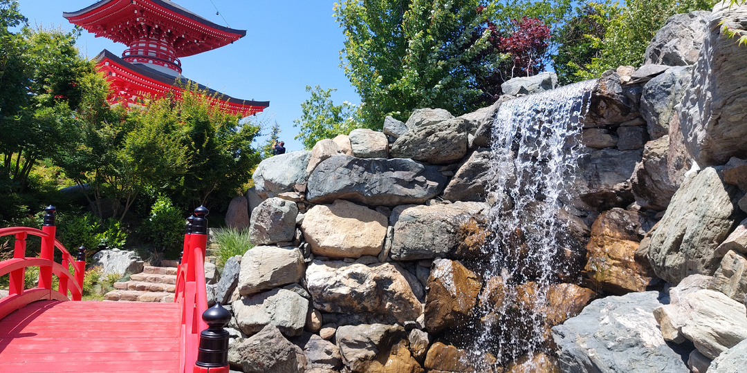 Японский сад в парке Галицкого. Попали с первого раза, несмотря на огромные очереди. Есть 4 способа