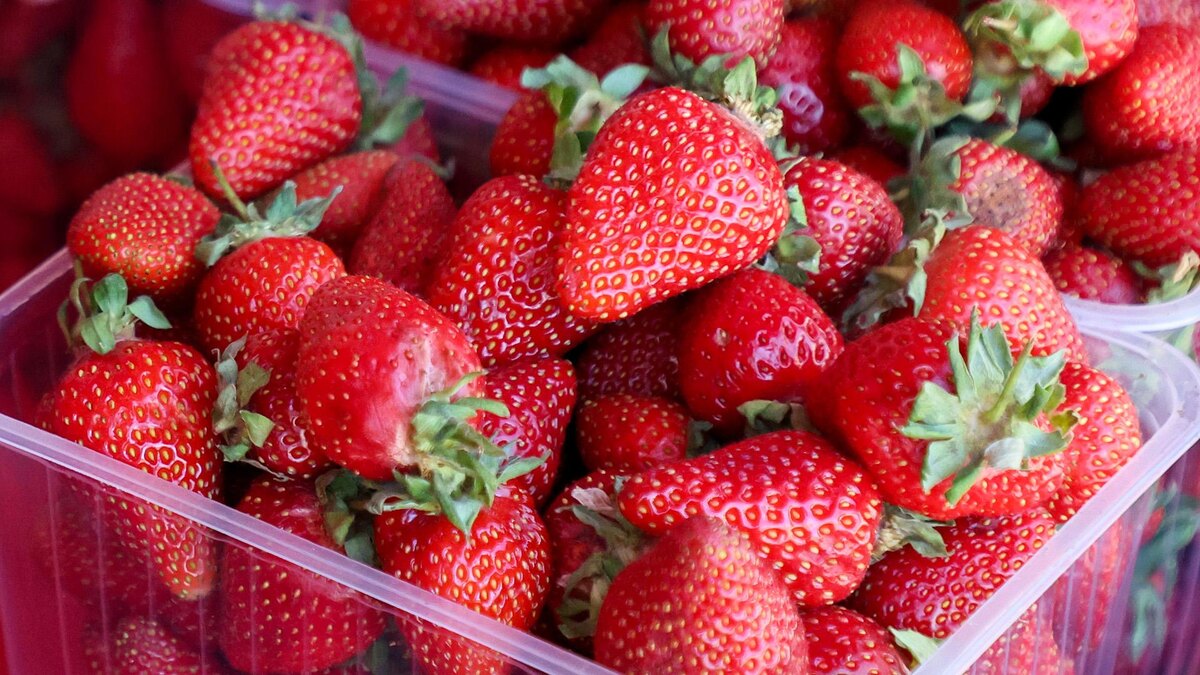    Фото: Belkin Alexey/globallookpress.com