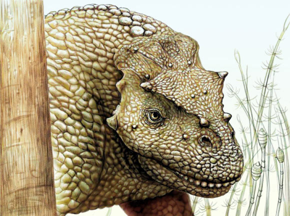 Реконструкция йиншанозавра